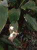 2024-04-14 M.A. 25 .jpg