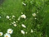 0 2024-05-13 M.A. 0 .jpeg