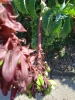 1 2024-05-13 M.A.   (8).jpeg