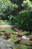 2024-06-04 Do. 2 .jpeg
