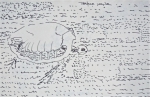 dessin de tortue, ménagerie du jardin des plantes, galerie de paléontologie, 