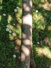 3 2025-04-28 M.A. 10 .jpg