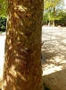 2024-04-14 M.A. 11 .jpg
