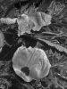 1 2024-05-20 M.A.   (6).jpeg